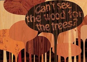 cantseethewoodforthetrees